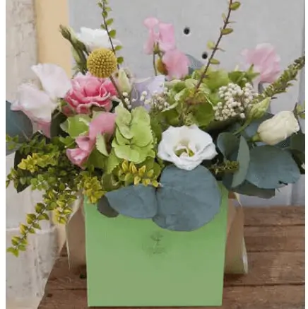 Ambalaje Flori Cadouri BOX CUBE SALVIA SCMO400C