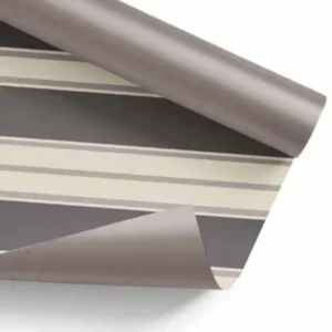 Ambalaje Flori Cadouri Bicolore Coli RIGHE CENUSIU PLATINA PL2B188147F