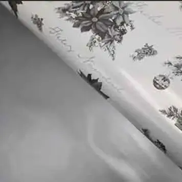 Ambalaje Flori Cadouri Bicolore Iarna Coli ARDILLA ARGINTIU PLB174115F